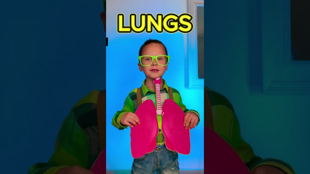 🧠 Body Secrets: Organs Inside Us!❤️ #kids #learn