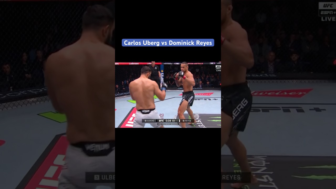 Carlos Ulberg vs Dominick Reyes Highlights