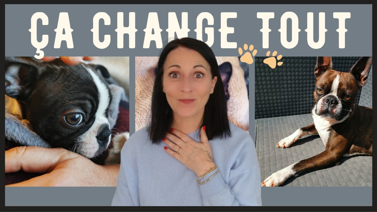 👉 Ce que je ne savais pas avant d’avoir un chien