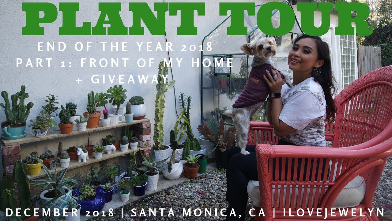 PLANT TOUR: Santa Monica Collection Part 1 | Dec 2018 | ILOVEJEWELYN