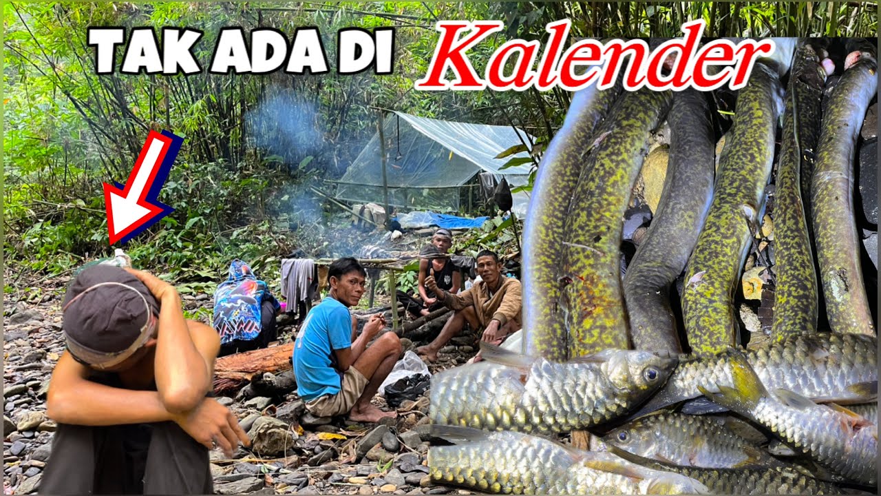 Musibah Terjadi Kapan Saja !! Berburu Ikan Sidat Bermalam di Hulu Sungai 