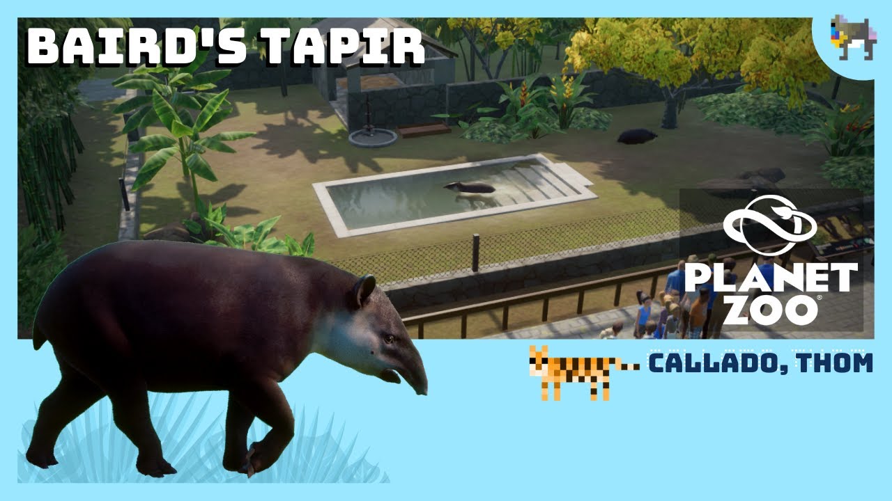 PLANET ZOO - Baird's Tapir Speedbuild
