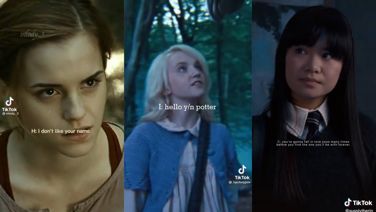 Harry Potter Girls x Y/N TikTok POV