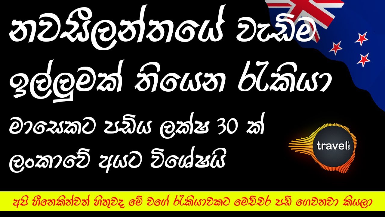 නවසීලන්තයේ වැඩිම ඉල්ලුමක් තියෙන රැකියා 2023 | Most In-Demand Jobs in New Zealand 2023 | Highest Pay