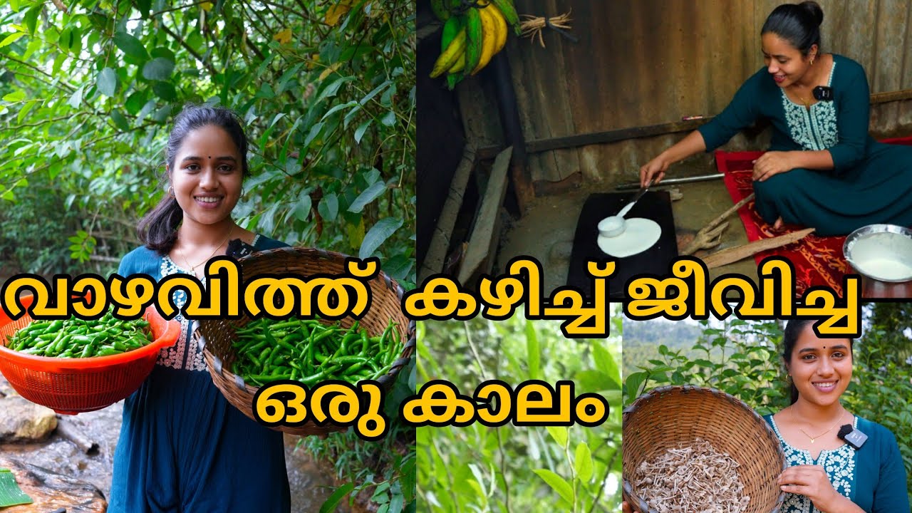 വാഴവിത്ത്  കഴിച്ച് ജീവിച്ച കാലം...പട്ടിണി മാത്രം അതൊരു കാലം