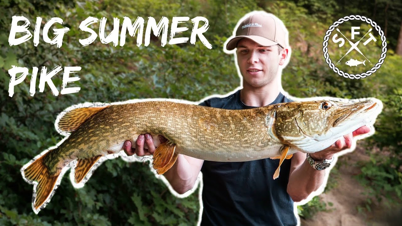 BIG summer Pike  / 4K Pike fishing  / Swiss Fishing Team