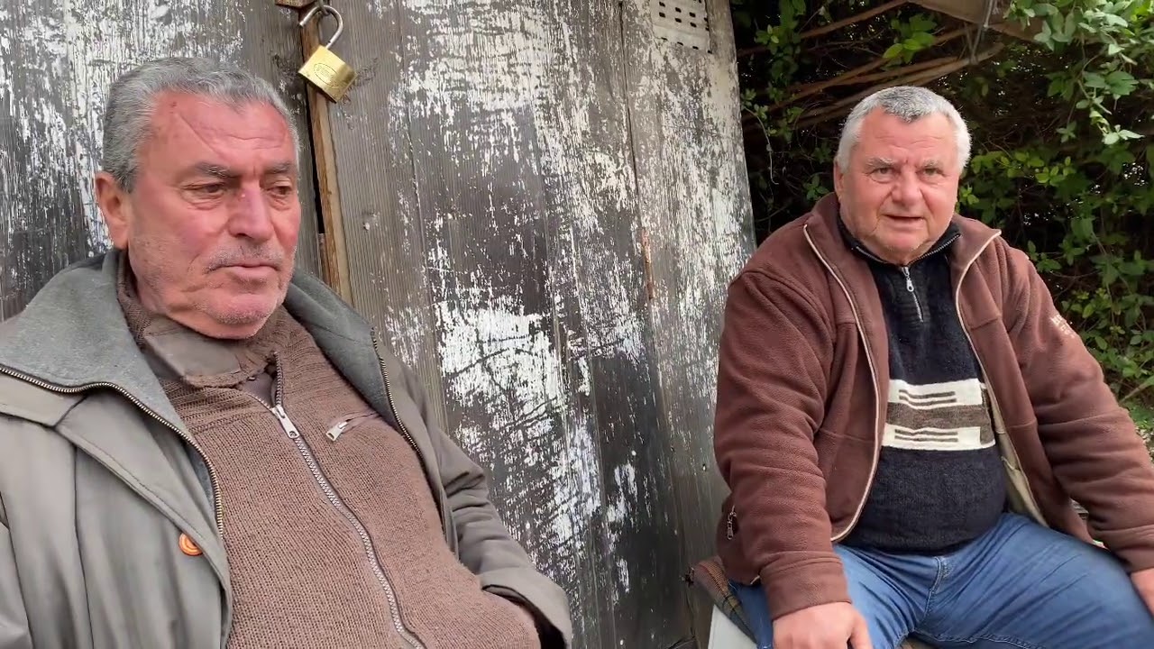 Dönek Güvercin TV | Bahçeci Adnan Usta ve Sabit Ustamız.Dunek pigeons.Pigeons roller.