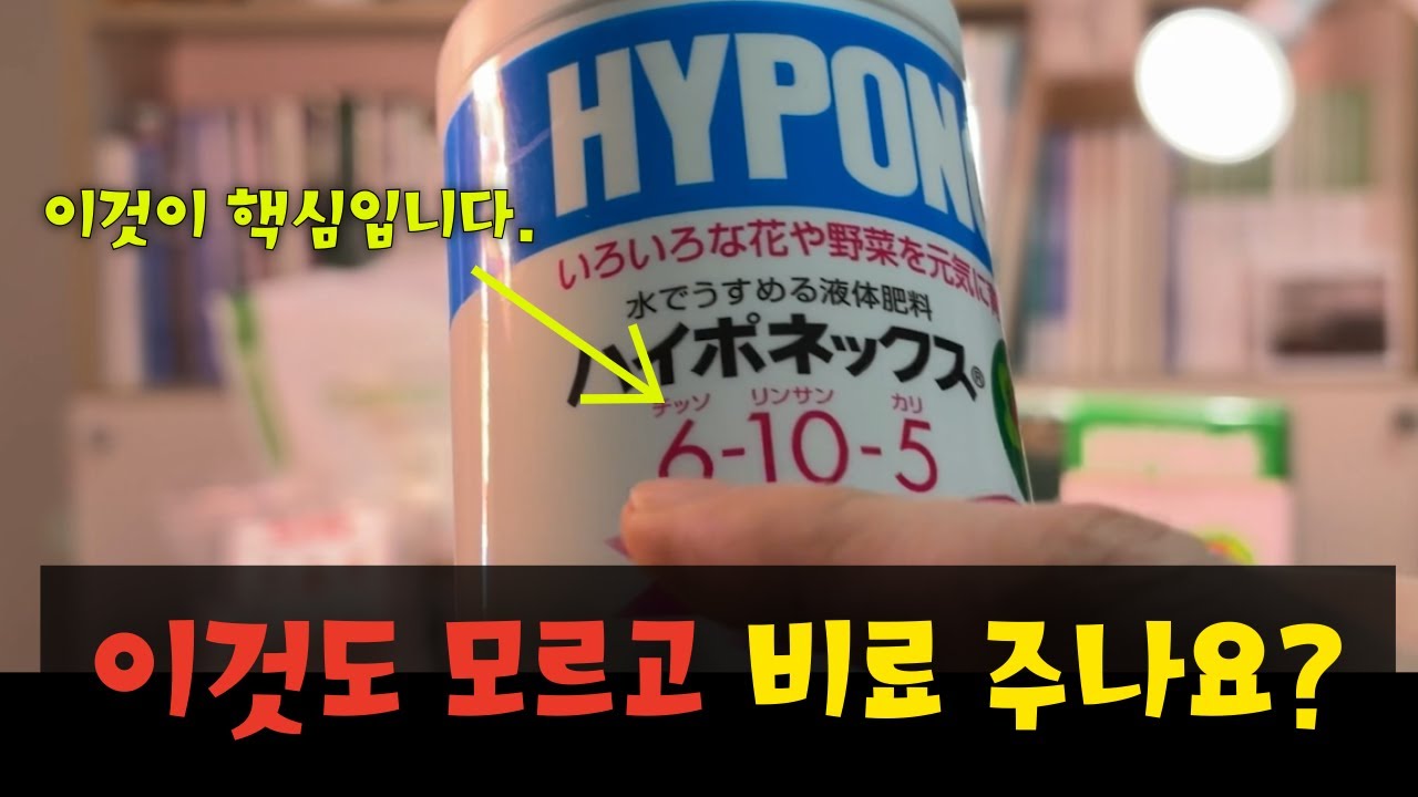 비료 주기 전 당신이 꼭 알아야 할 숫자(나무의사가 알려주는 비료의 모든 것 1편)