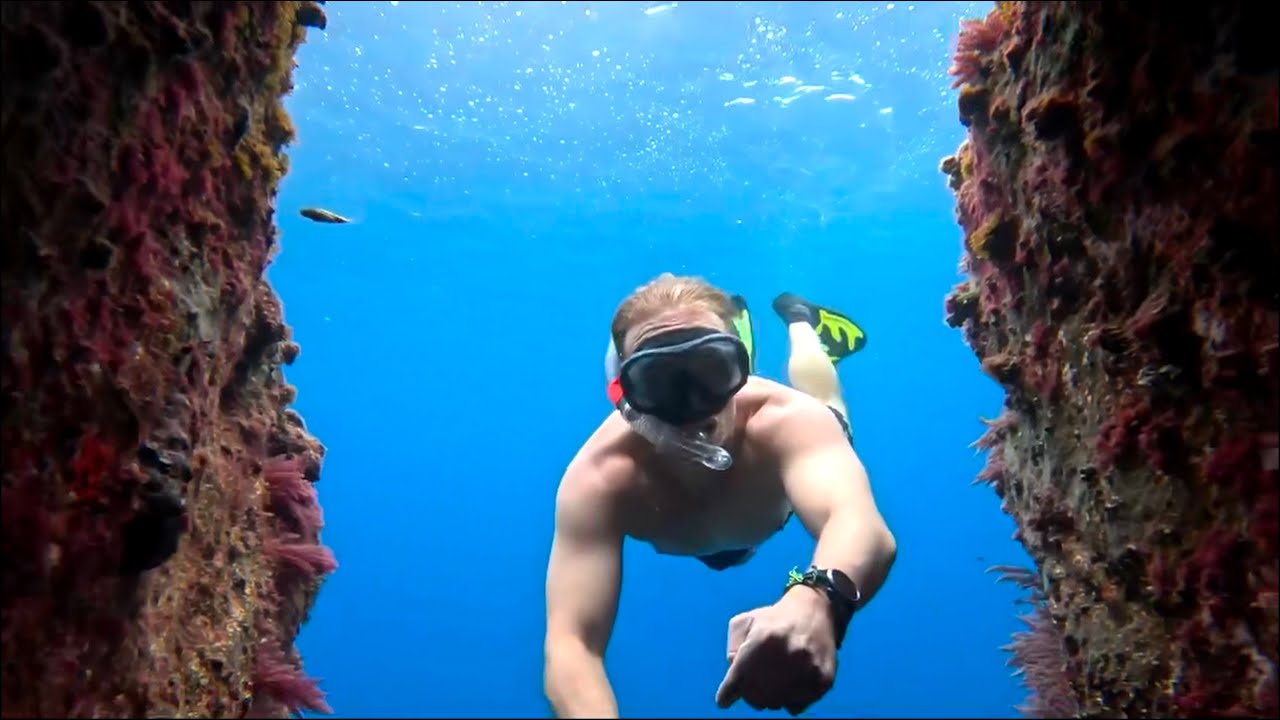 Schnorcheln auf Madeira: Kleine Fische & klare Sicht🐠