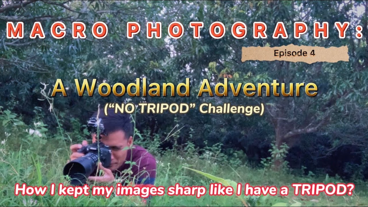 Macro Photography: A Woodland Adventure | Keeping Images Sharp Without A Tripod |