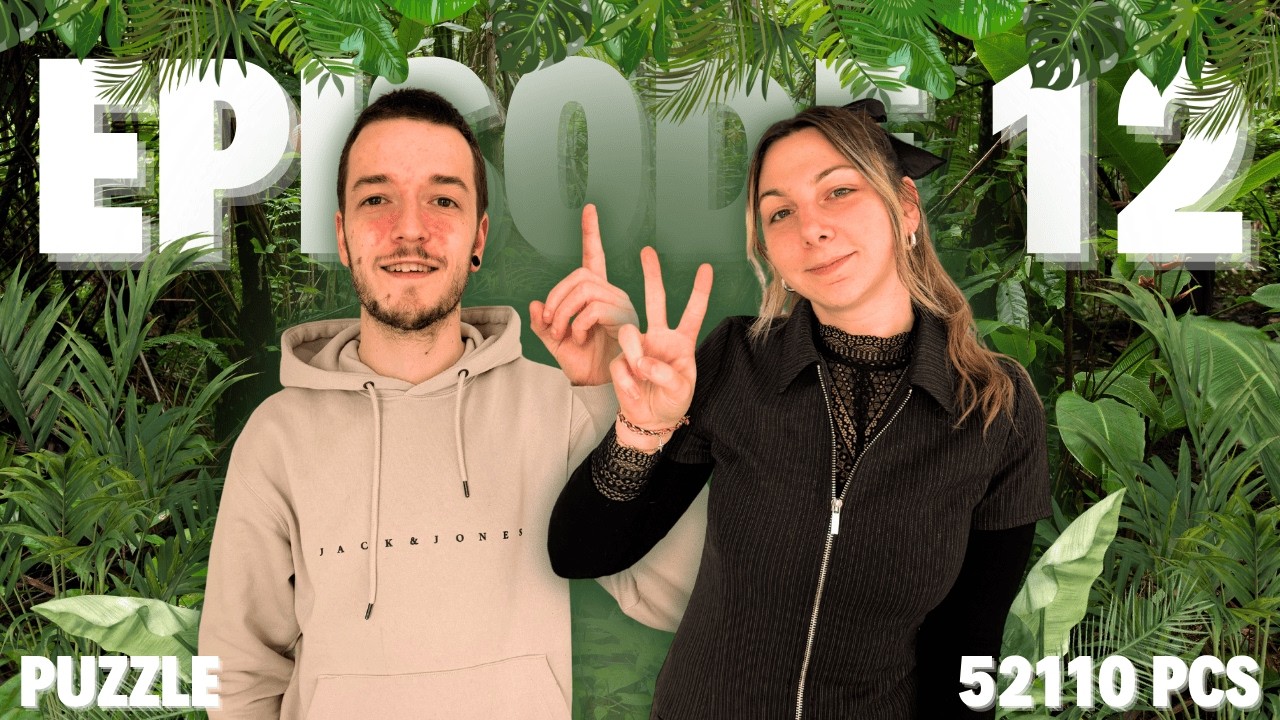 ON GALÈRE SUR LA PARTIE 6 DE NOTRE PUZZLE 52110 PIÈCES 😭