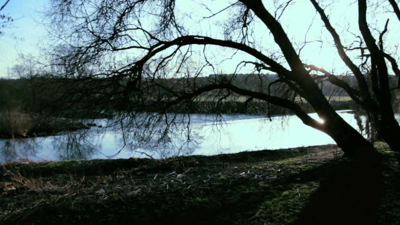 SUNWØLF - MIDNIGHT MOON