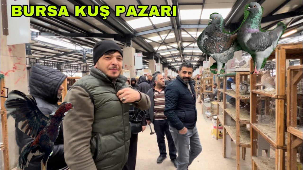 BURSA GÜVERCİN PAZARI    FİLO  KOSTÜM TAKLACI
