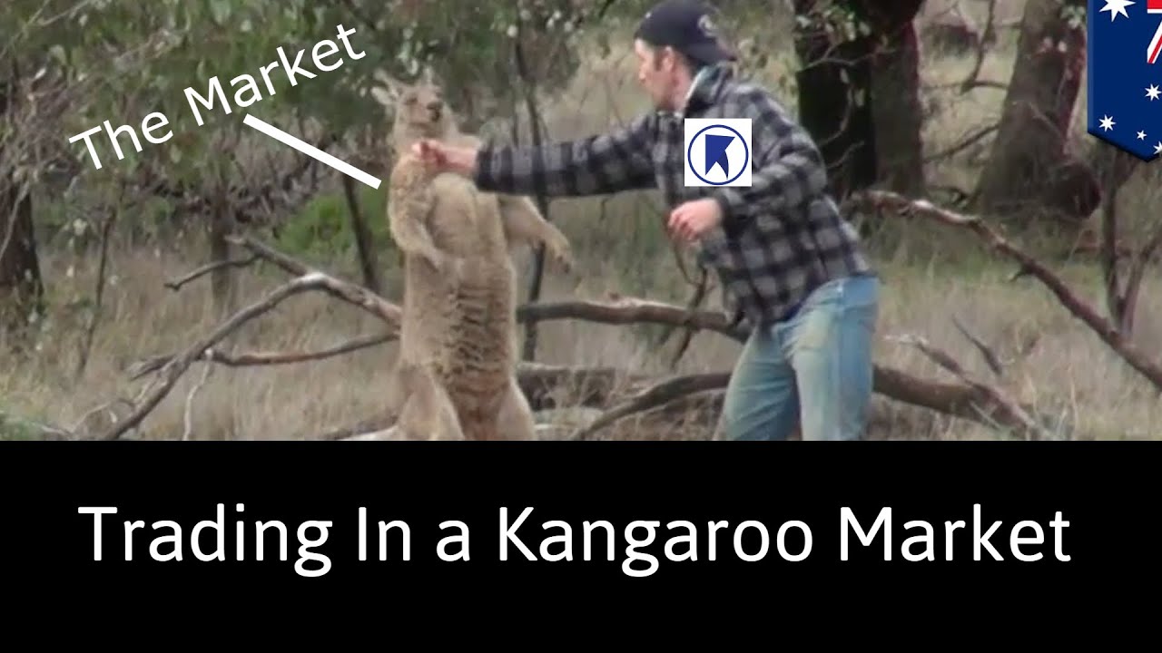 How To Make Money In a Kangaroo Market with Proven and Profitable Strategies
