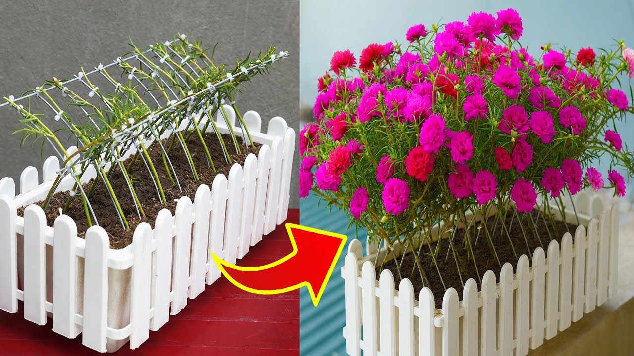 I Transformed Plastic Pots into a Blooming Paradise!