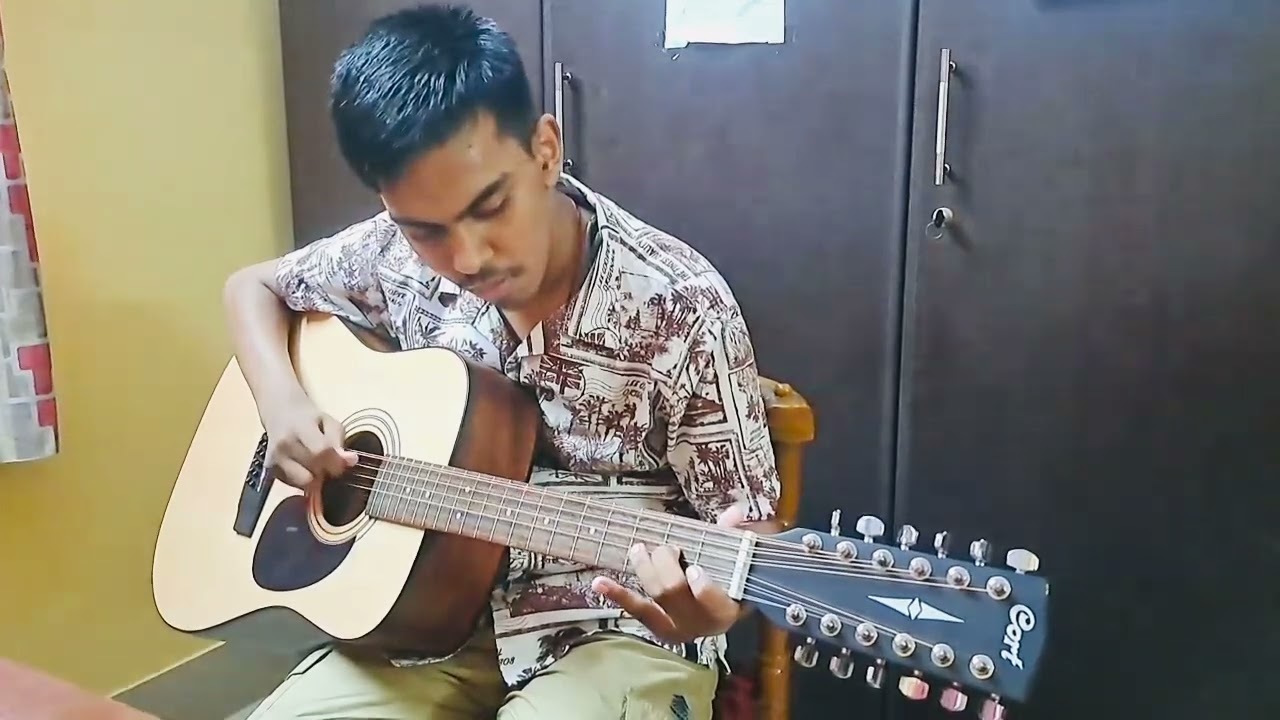 Amaro porano jaha chay guitar cover #amaroporanojahachai #guitar #12stringguitar #rabindrajayanti
