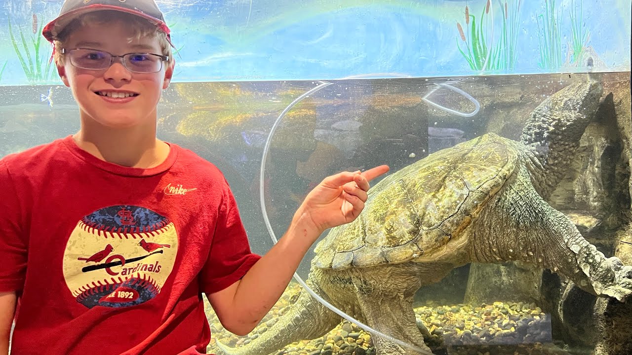 World’s Largest Common Snapping Turtle!!!