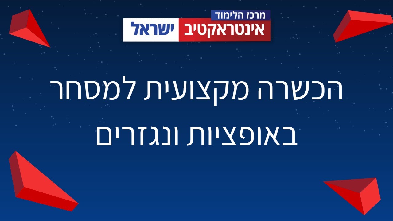 הכשרה מקצועית למסחר באופציות ונגזרים