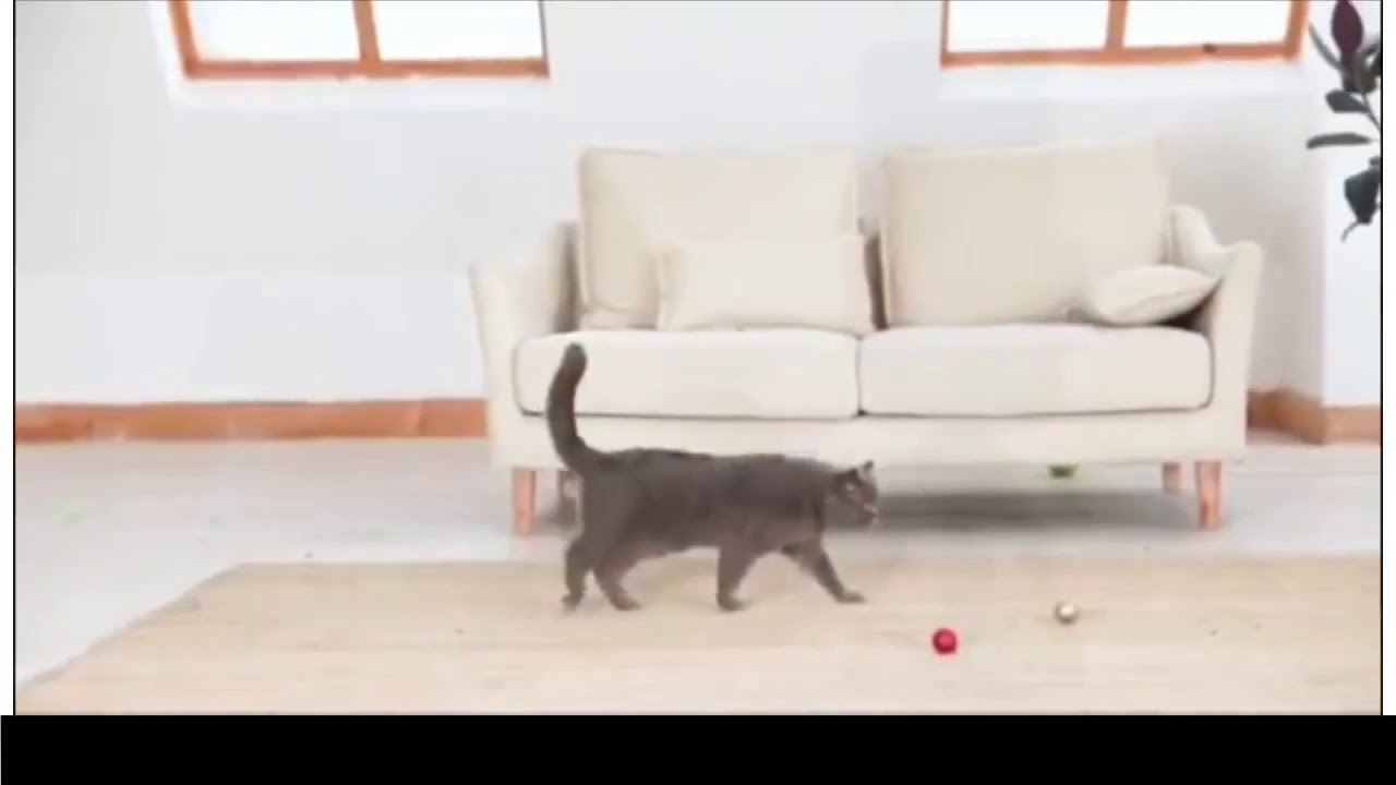 AI-Powered Smart 360 Degree Object Tracking Holder