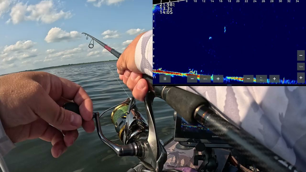 Рыбалка в Panoptix LiveScope по судаку.