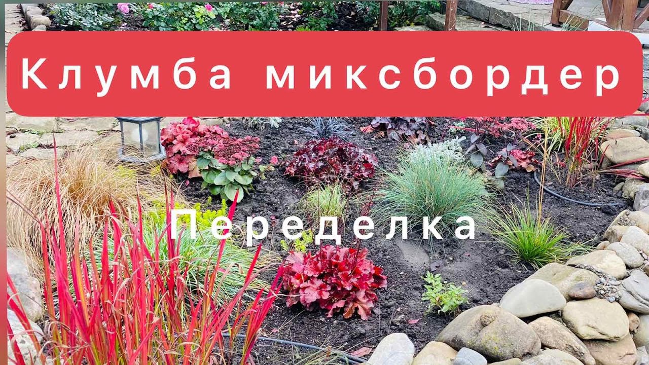 клумба-миксбордер /переделка