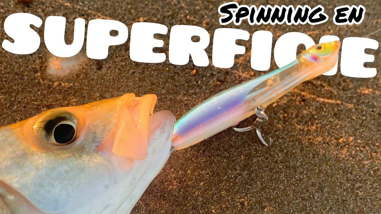 SPINNING ligero en SUPERFICIE  [TIPS PARA DAR CON PECES XXL EN OTOÑO ]