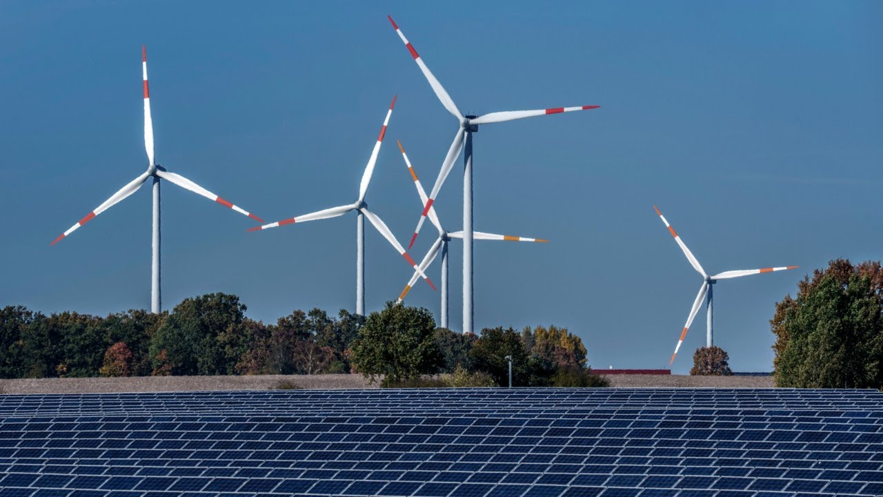 &lsquo;No way&rsquo; Labor&rsquo;s grid will work how they say it will, nuclear expert claims