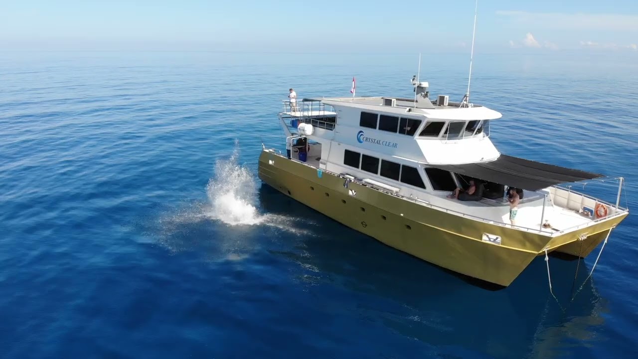 2019 - Indonesia surf Trip