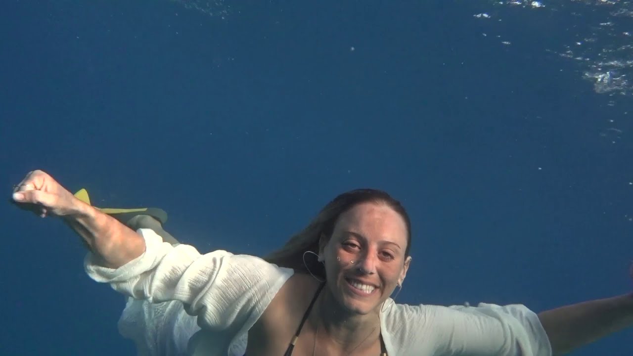 Freediving with dolphins