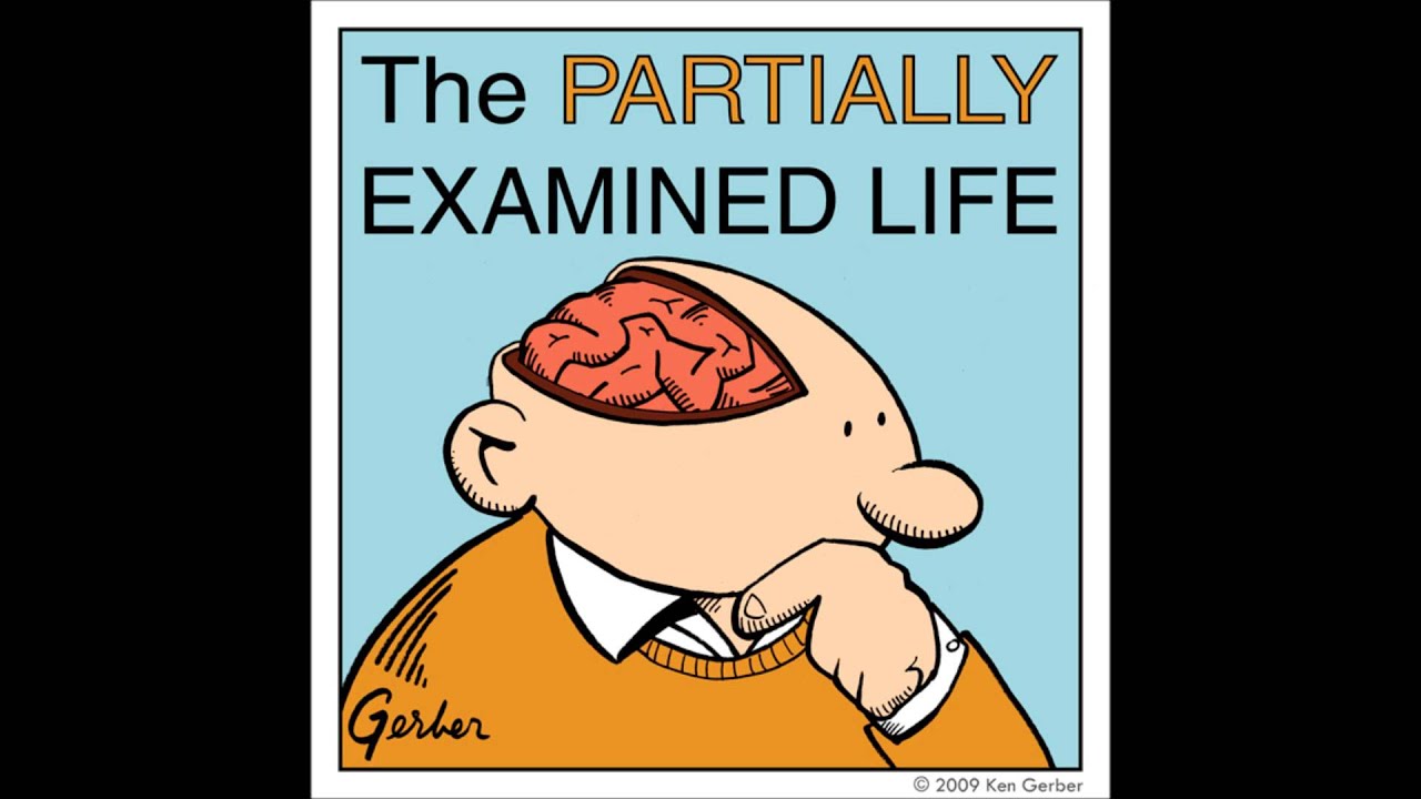 Partially Examined Life podcast - Lacan - The Mirror Stage