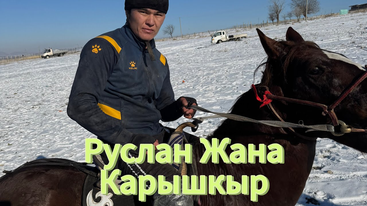 Руслан балбан Жана Карышкыр 17.12.24