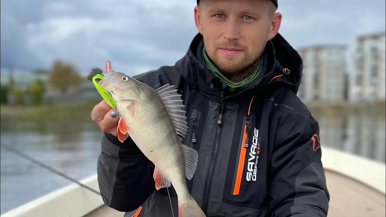 Koha, ahven ning 6.8 kg havipurakas Pärnu jõel 20.09.22