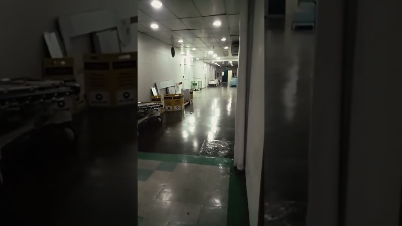 sozinho no necrot&eacute;rio