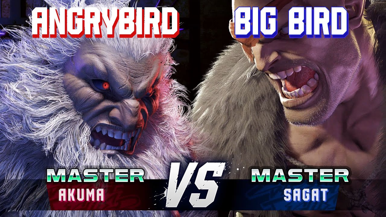 SF6 ▰ ANGRYBIRD (Akuma) vs BIG BIRD (Sagat) ▰ High Level Gameplay