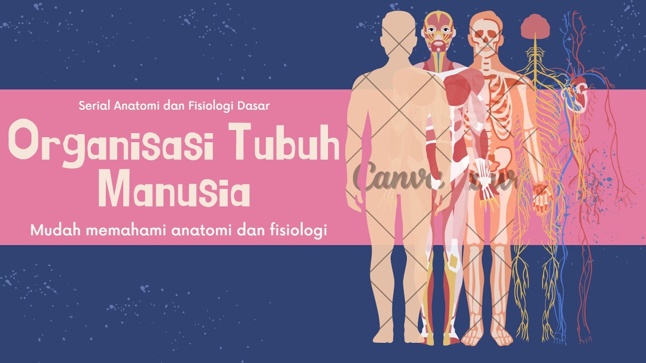 Seri 01 : Apa yang dipelajari dalam Anatomi dan Fisiologi? | Anatomi dan Fisiologi Dasar