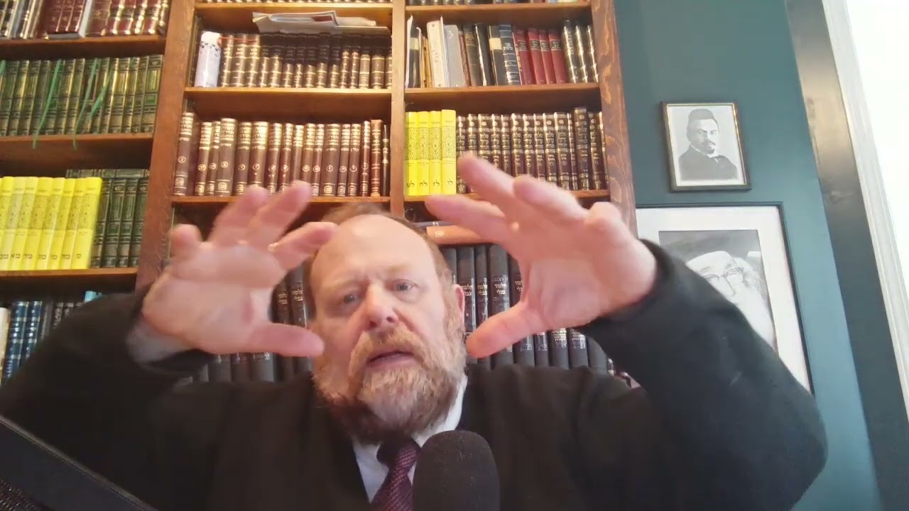 Yerushalmi Beitzah 41