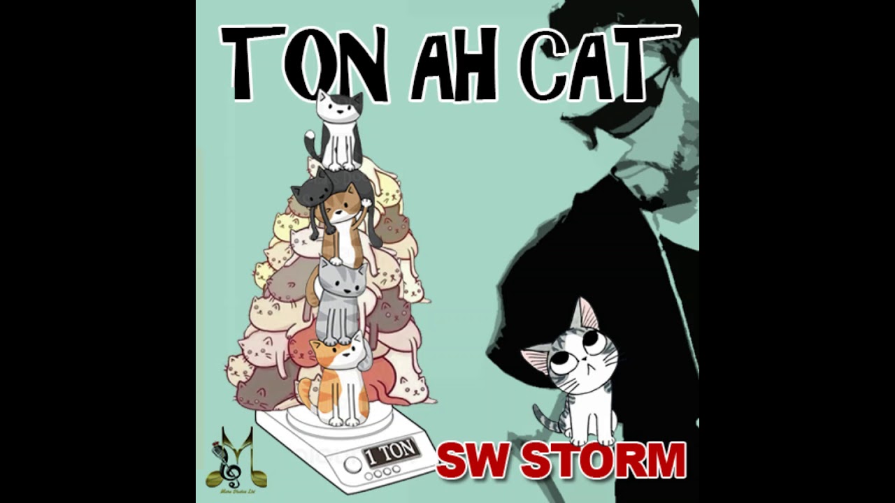 SW Storm - TON AH CAT ( 2018 Chutney Soca )