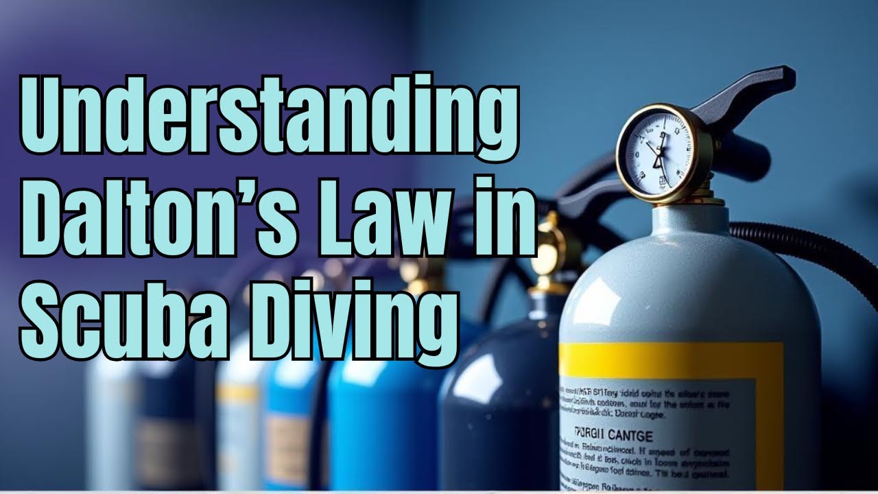 Dive Science | Dalton’s Law: Pressure & The Air We Breathe