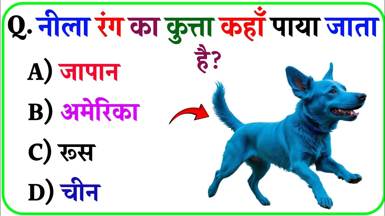 || Gk Questions || Gk In Hindi || Gk Ke Sawal ||  #future_gk_alert || Gk Quiz || Part 39