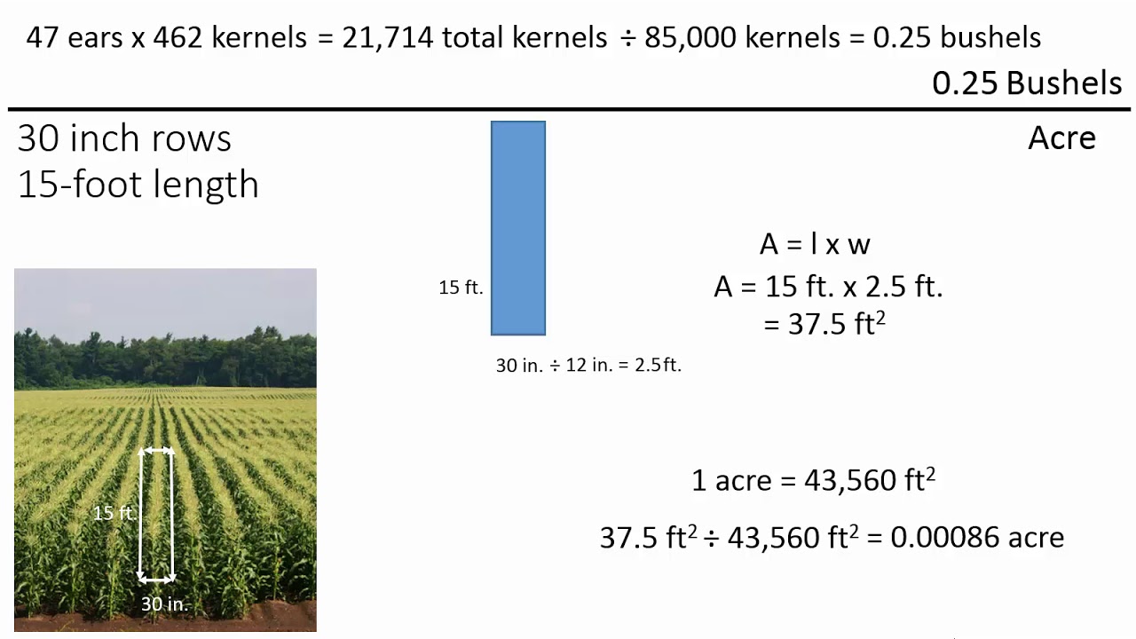 Harvest and Yield Estimation Calculations
