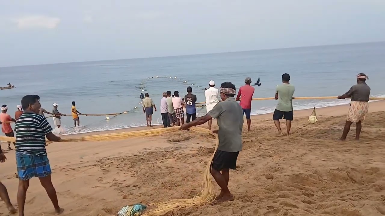 കമ്പവല#ശംഖ്‌മുഖംകടപ്പുറം #entertament#kambavala fishing#netfishing#ഷാജിപ്പാപ്പനും പിള്ളേരും