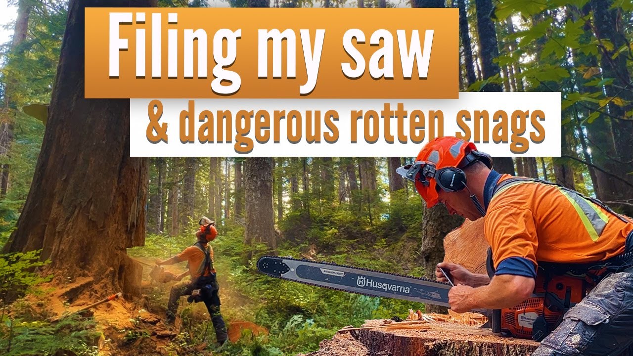 New Heli-Logging cutblock | Opening up with several large snags
