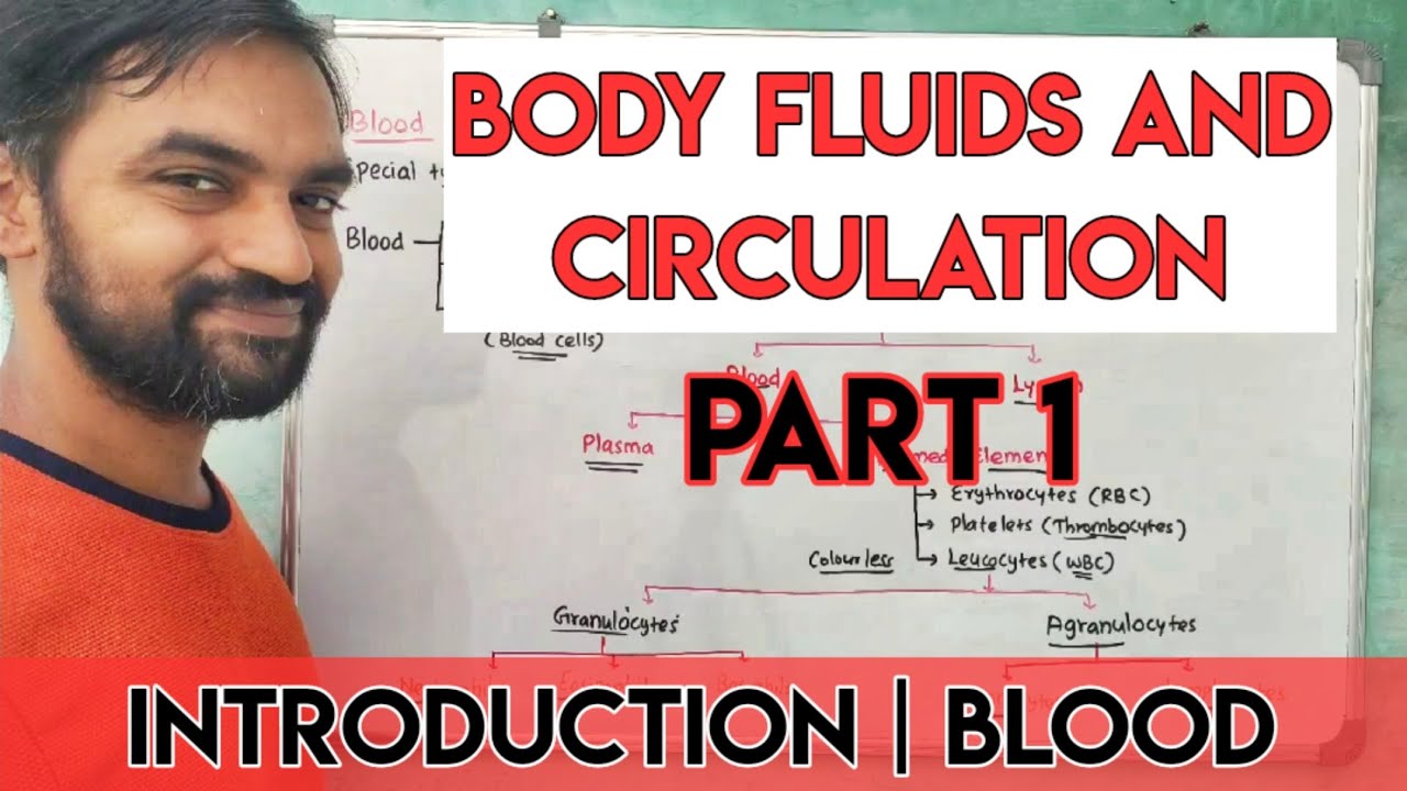 Body fluids and circulation | Part 1 | Introduction | Blood