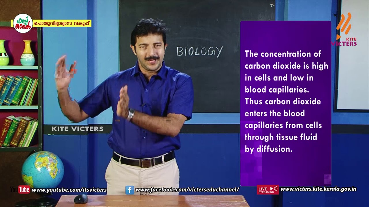 KITE VICTERS STD 09 Biology Class 25 (First Bell-ഫസ്റ്റ് ബെല്‍)