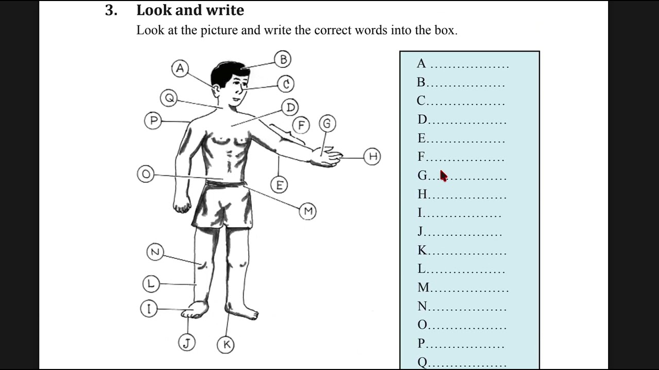 M1 English EP 33 Unit 9 lesson2