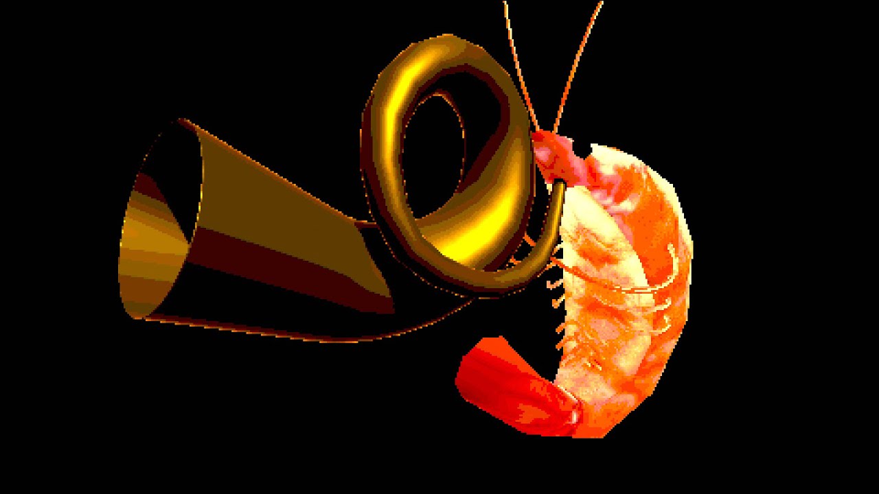 shrimp quartet