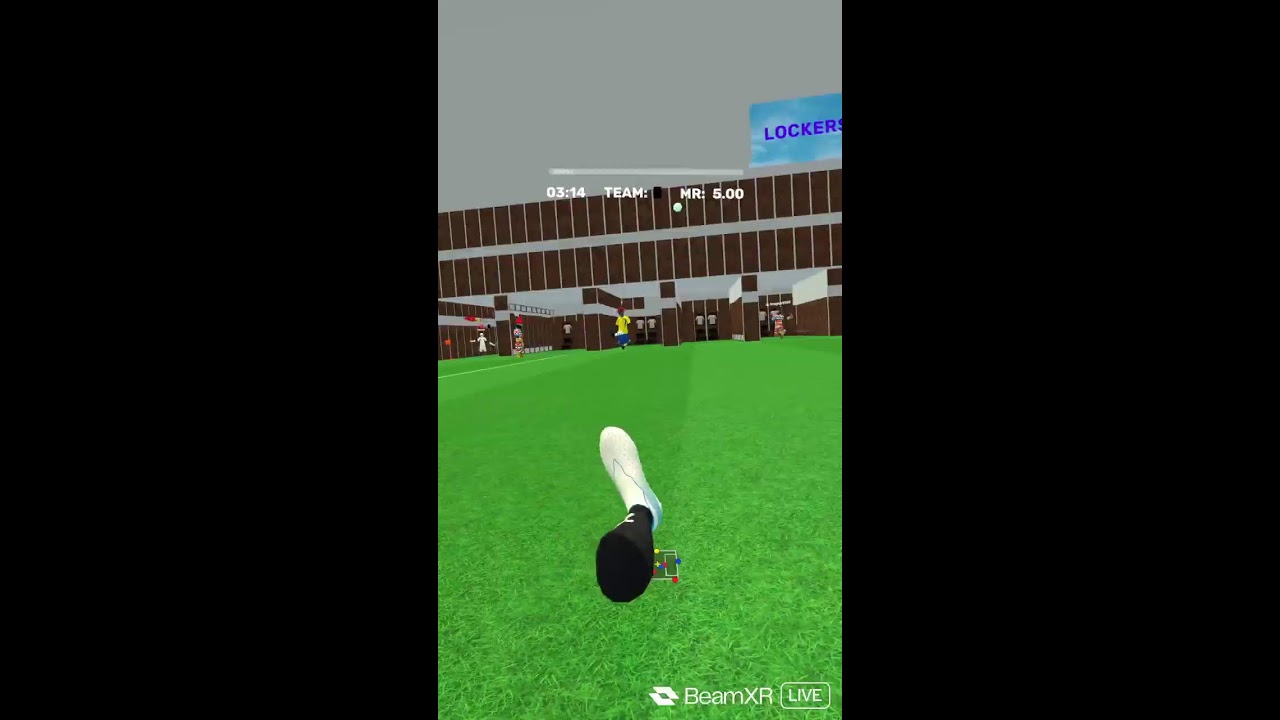 VRFS With Viewers! (VR Football Simulator)
