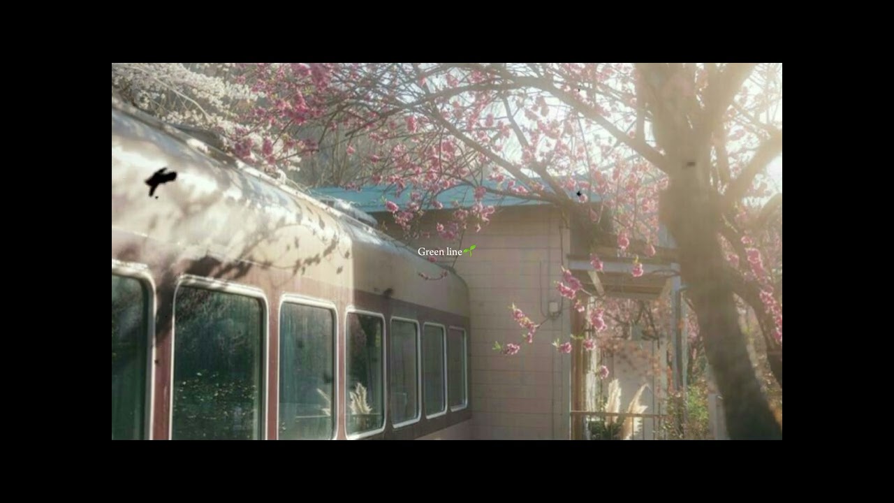 Zuhindra tra - Green line (mp4)      #greenline #zuhindra #zuhindratra