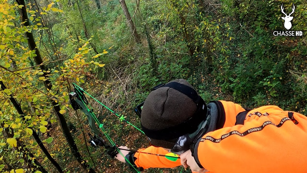 CHASSE &Agrave; L'ARC : MES PREMIERS SANGLIERS EN BATTUE FL&Eacute;CH&Eacute;S &Agrave; 4 ET 8 M&Egrave;TRES ! DE FORTES &Eacute;MOTIONS !