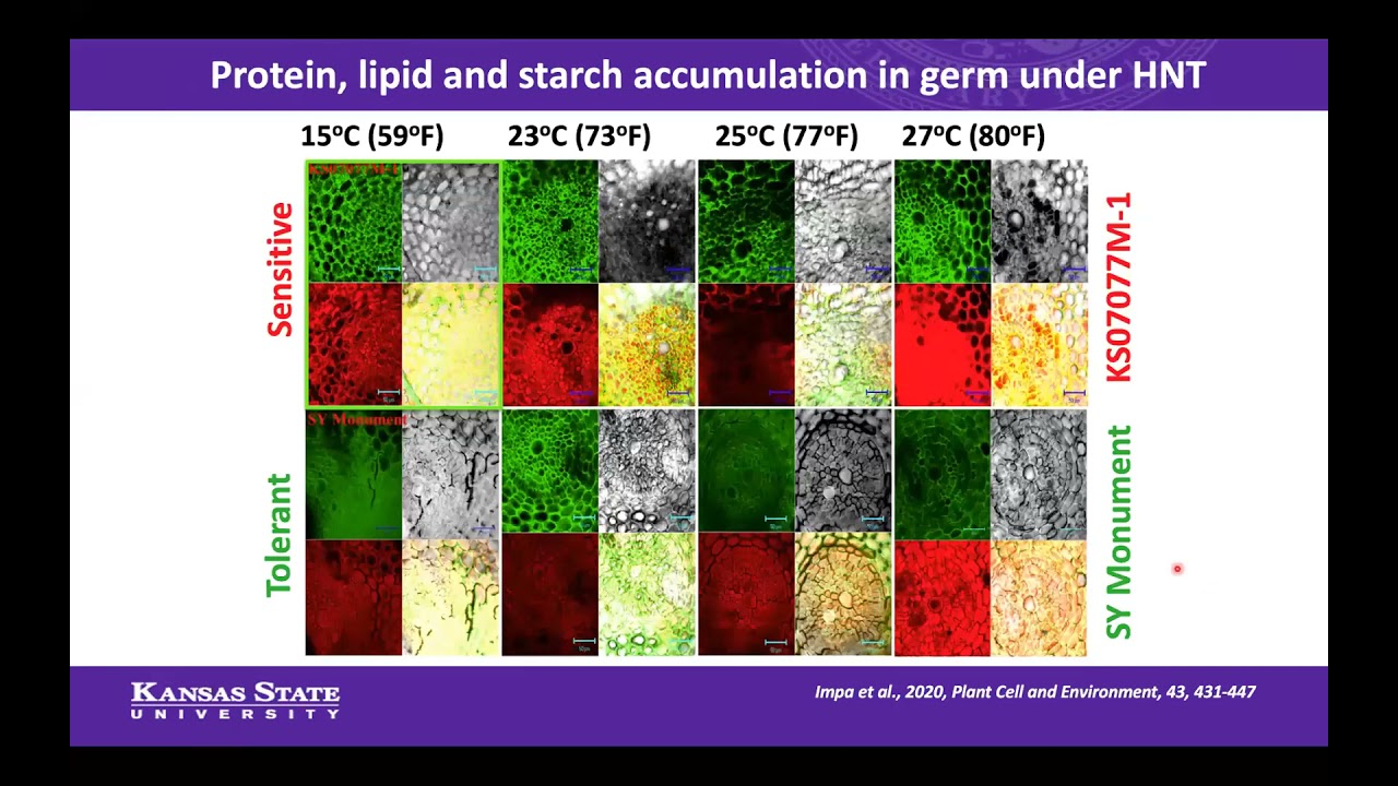 OSU_SAT_2021, Session 3. Dr. Jagadish _ Winter wheat responses to heat stress during grain-filling